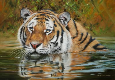 Tiger In Water